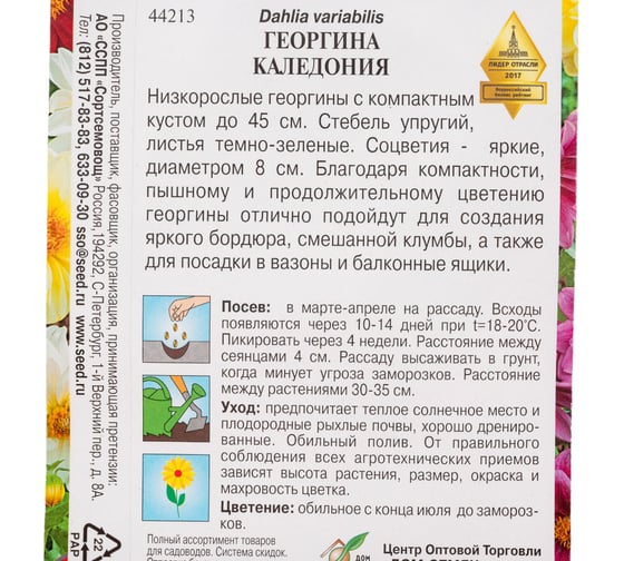 Георгина Дом Семян Каледония 44213