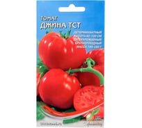 Томат Дом Семян ДжинаТСТ 16849