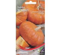 Тыква Дом Семян Эстамп 15070