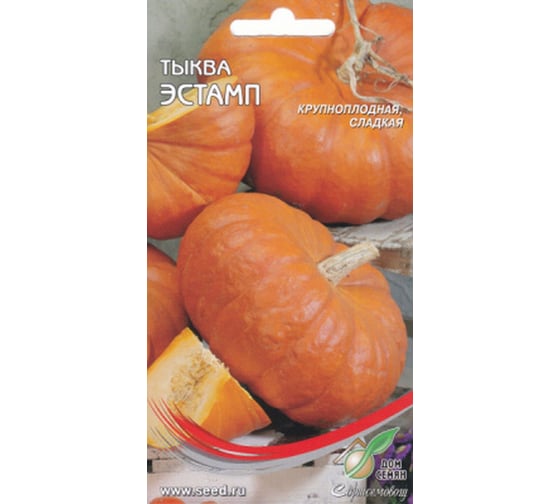 Тыква Дом Семян Эстамп 15070 1