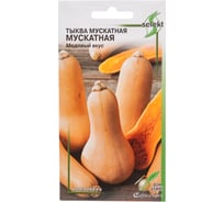 Тыква Дом Семян мускатная Мускатная 15091