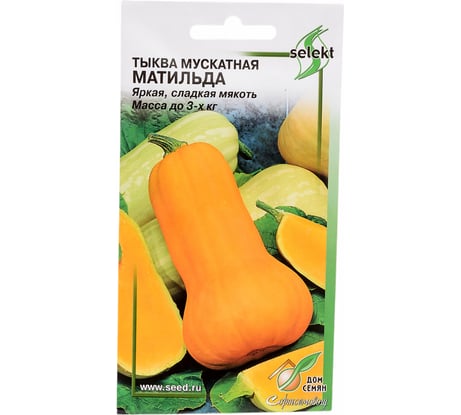 Тыква Дом Семян мускатная Матильда 15089