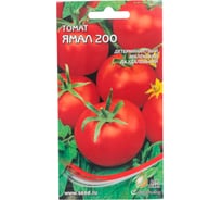 Томат Дом Семян Ямал 16190