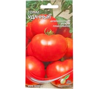 Томат Дом Семян Удачный 16854