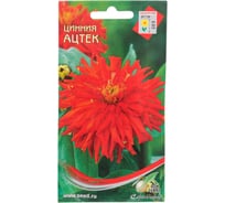 Циния Дом Семян Ацтек 53027