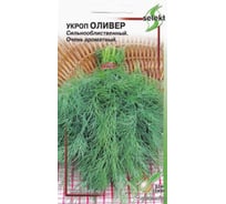 Укроп Дом Семян Оливер 22211