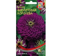 Циния Дом Семян Фиолетовая Королева 53022
