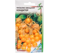 Физалис Дом Семян Кондитер 18805