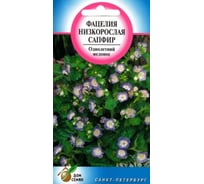 Фацелия Дом Семян низк.Сапфир 52300