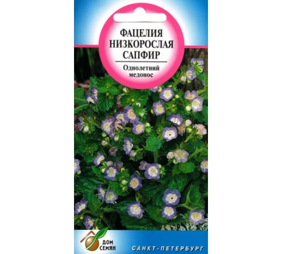 Фацелия Дом Семян низк.Сапфир 52300