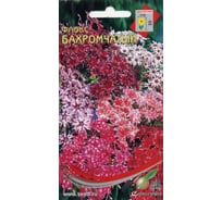 Флокс Дом Семян Бахромчатый 52609