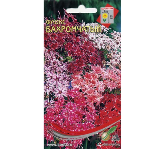 Флокс Дом Семян Бахромчатый 52609 1