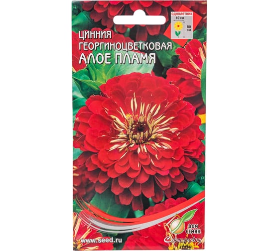 Цинния Дом Семян георг. Алое пламя 53013