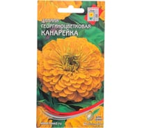 Цинния Дом Семян георг. Канарейка 53017