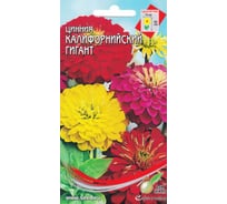 Цинния Дом Семян Калифорнийский гигант 53002