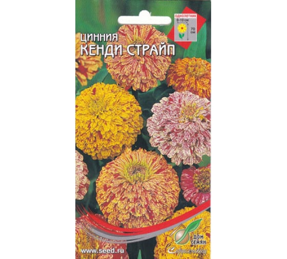 Цинния Дом Семян Кенди Страйп 53009 1