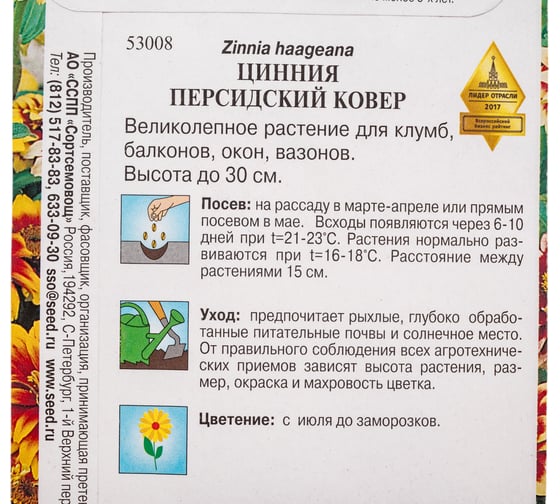 Цинния Дом Семян Персидский Ковер 53008
