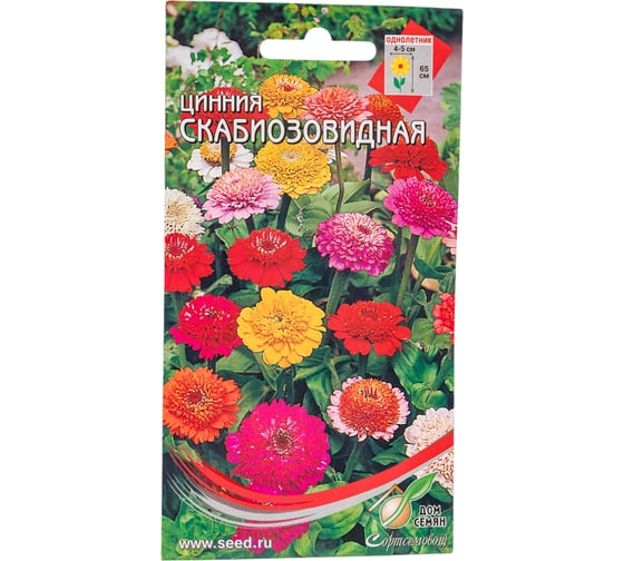 Цинния Дом Семян скабиозовидная 53010