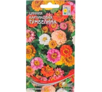 Цинния Дом Семян карликоваяТумбелина 53011