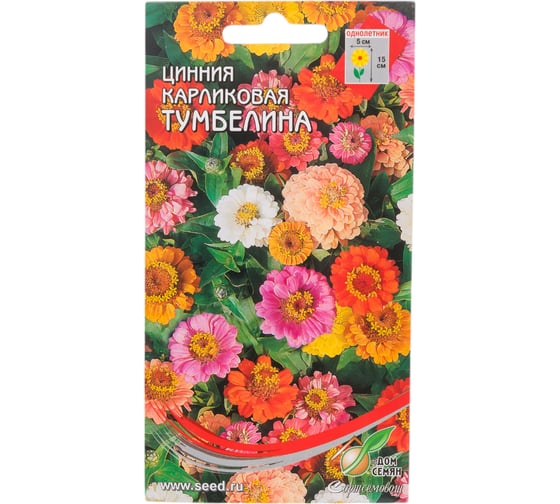 Цинния Дом Семян карликоваяТумбелина 53011 1