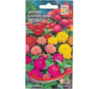 Цинния Дом Семян карликовая Пепито 53012