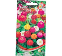 Цинния Дом Семян Лилипут 53005