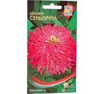 Цинния Дом Семян Сеньорита 53026