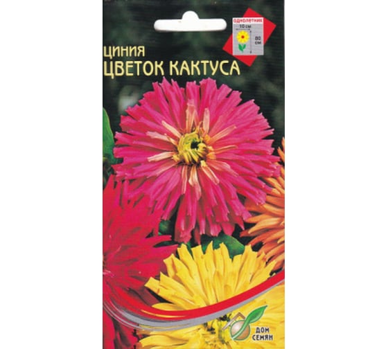 Цинния Дом Семян Цветок Кактуса 53003 1
