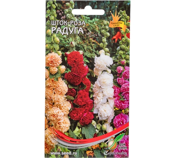 Шток- роза Дом Семян Радуга 53106