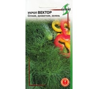 Укроп Дом Семян Вектор 22227