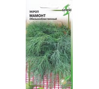 Укроп Дом Семян Мамонт 22012