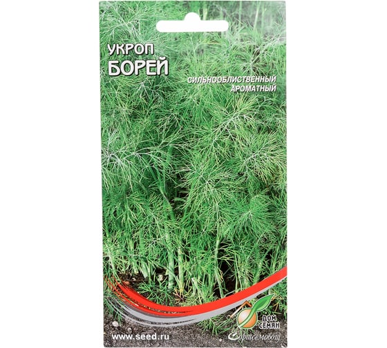 Укроп Дом Семян Борей 22212 1