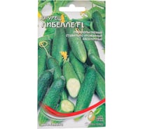 Огурец Дом Семян Либелле F1 13510