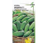Огурец Дом Семян Медина F1 13767