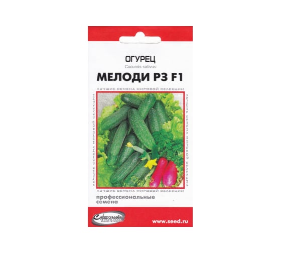 Огурец Дом Семян Мелоди F1 13796