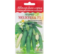 Огурец Дом Семян Молодец F1 13752