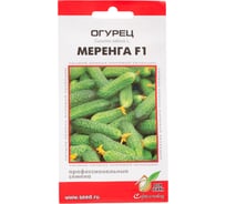 Огурец Дом Семян Меренга F1 13813
