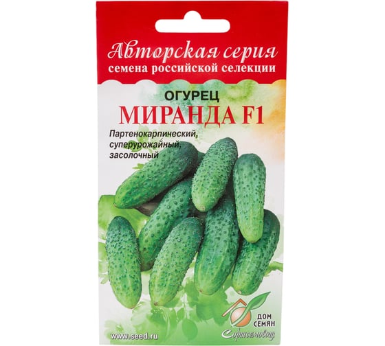 Огурец Дом Семян Миранда F1 13754