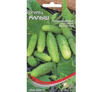 Огурец Дом Семян Малыш 13045
