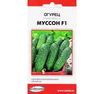 Огурец Дом Семян Муссон F1 13895