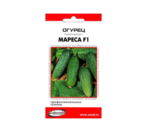Огурец Дом Семян Мареса F1 13809