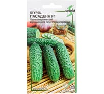 Огурец Дом Семян Пасадена F1 13780