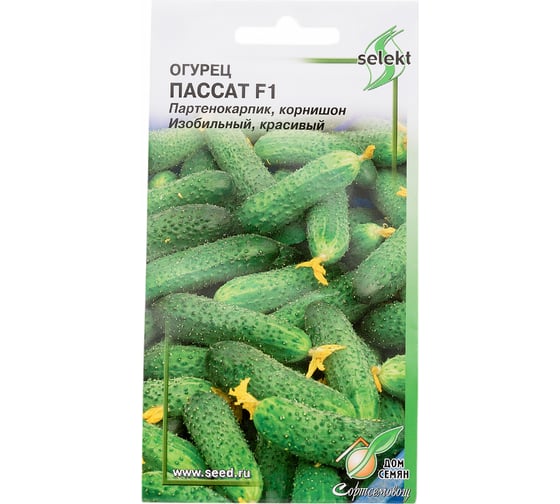 Огурец Дом Семян Пассат F1 13779