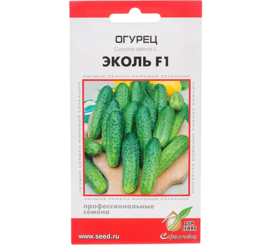 Огурец Дом Семян Эколь F1 13759 1