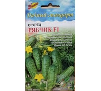 Огурец Дом Семян Рябчик F1 13684