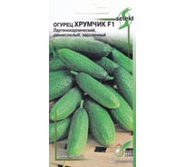 Огурец Дом Семян Хрумчик F1 13529