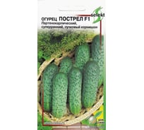 Огурец Дом Семян Пострел F1 13829