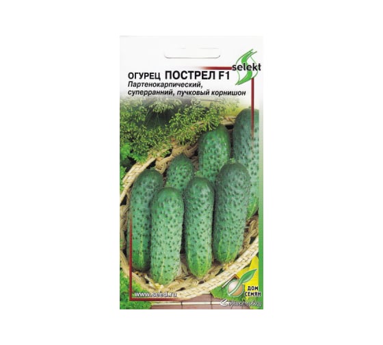 Огурец Дом Семян Пострел F1 13829 1