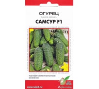 Огурец Дом Семян Самсур F1 13851