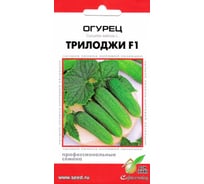 Огурец Дом Семян Трилоджи F1 13811